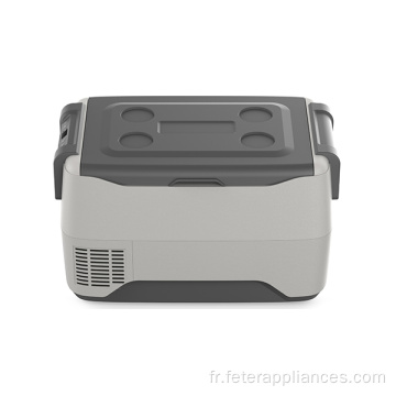Mini congélateur DC/AC pour voiture avec refroidissement par compresseur pour conduite autonome en extérieur ou à la maison